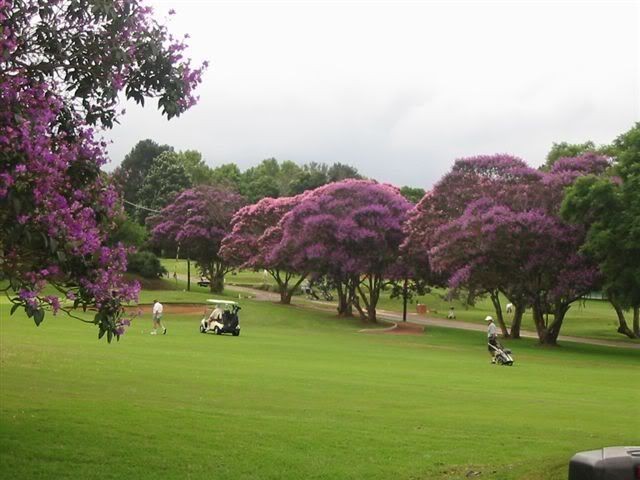 Kloof Country Club 