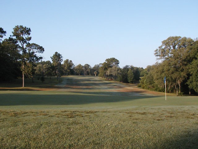 Citrus Springs 