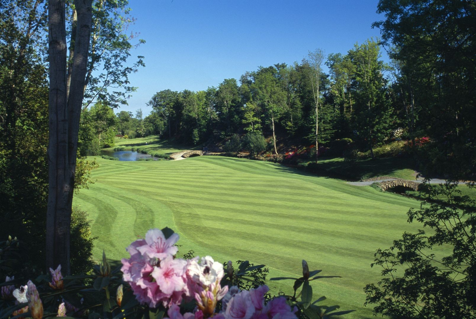Druids Glen 