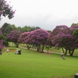 Kloof Country Club 