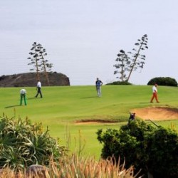 Tecina Golf 