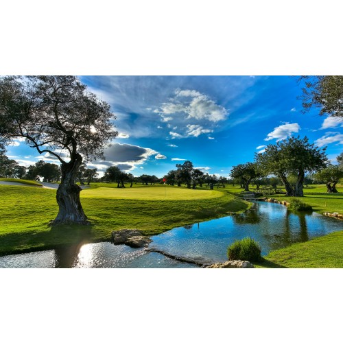 Quinta de Cima